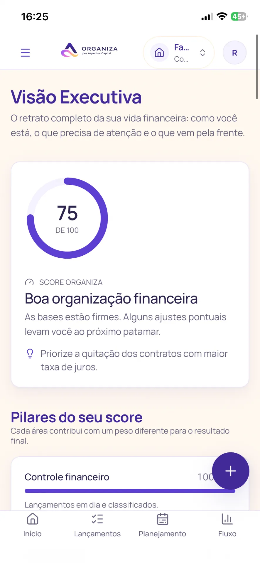 Visão executiva com score financeiro no Organiza
